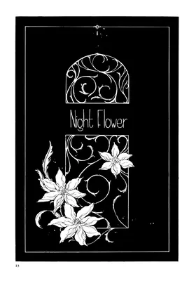 Night Flower