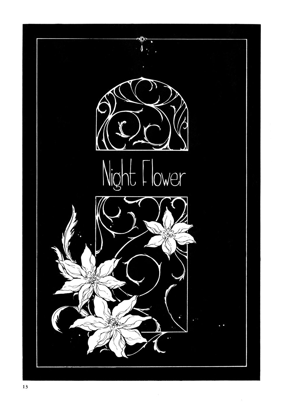 Night Flower background