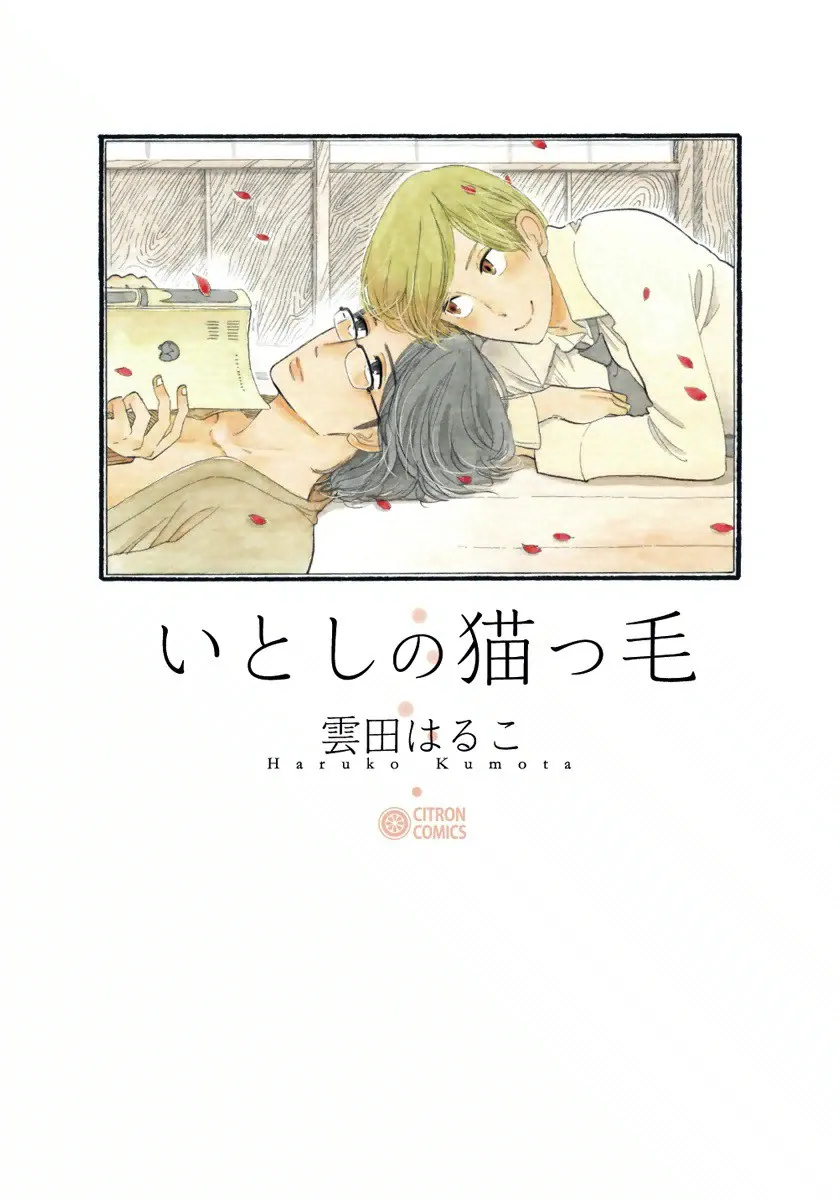 Itoshi no Nekokke background