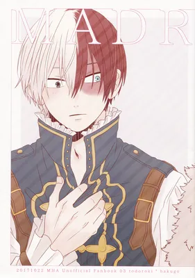 My Hero Academia - MADRIGAL  (Doujinshi)