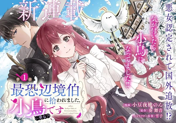 Saikyou Henkyou Haku ni Hirowaremashita, Kotori (=Akujo?) desu