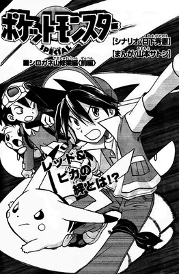 Pokémon SPECIAL The Mount Shirogane Training Chapter