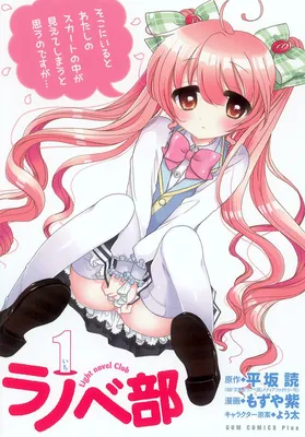 Ranobe Bu