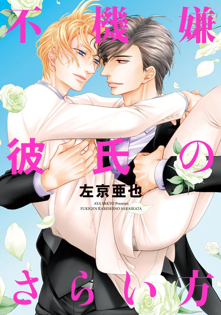 Fukigen Kareshi no Saraikata background