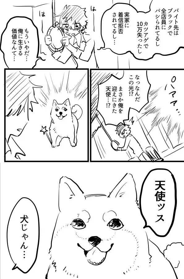 The Angel Dog background