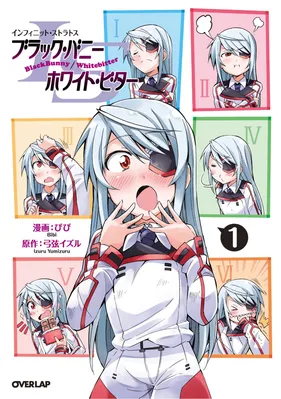 Infinite Stratos Black Bunny/White Bitter
