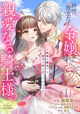 Haikei, Yakutatazu Reijou kara Shinai naru Kishi-sama e - Jimi na Mahou Demo Anata no Yakunitatte Misemasu