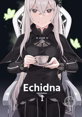 Re:Zero kara Hajimeru Isekai Seikatsu - Echidna sukebebon I (Doujinshi)
