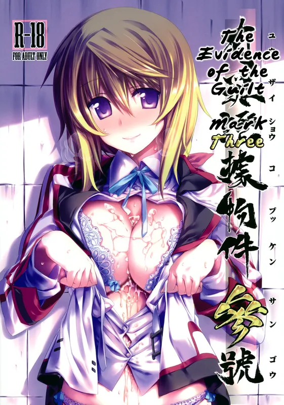 IS <Infinite Stratos> - Yuuzai Shouko Bukken Sangou (Doujinshi)