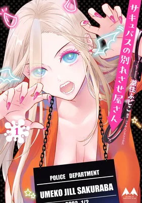 Succubus no Wakaresaseya-san