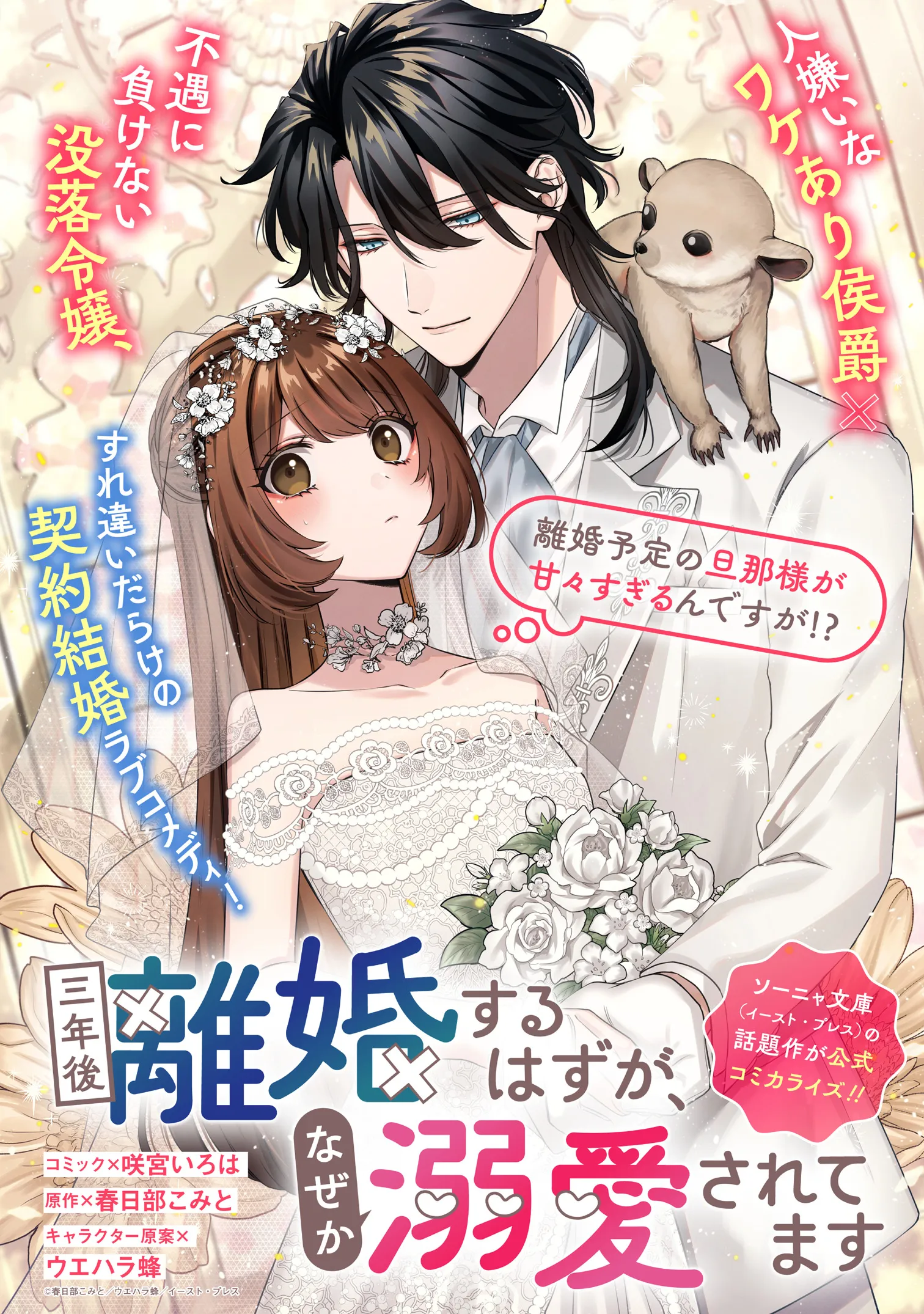 Sannengo Rikon suru Hazu ga, Naze ka Dekiaisaretemasu background