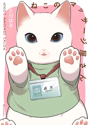 Cat Massage Therapy