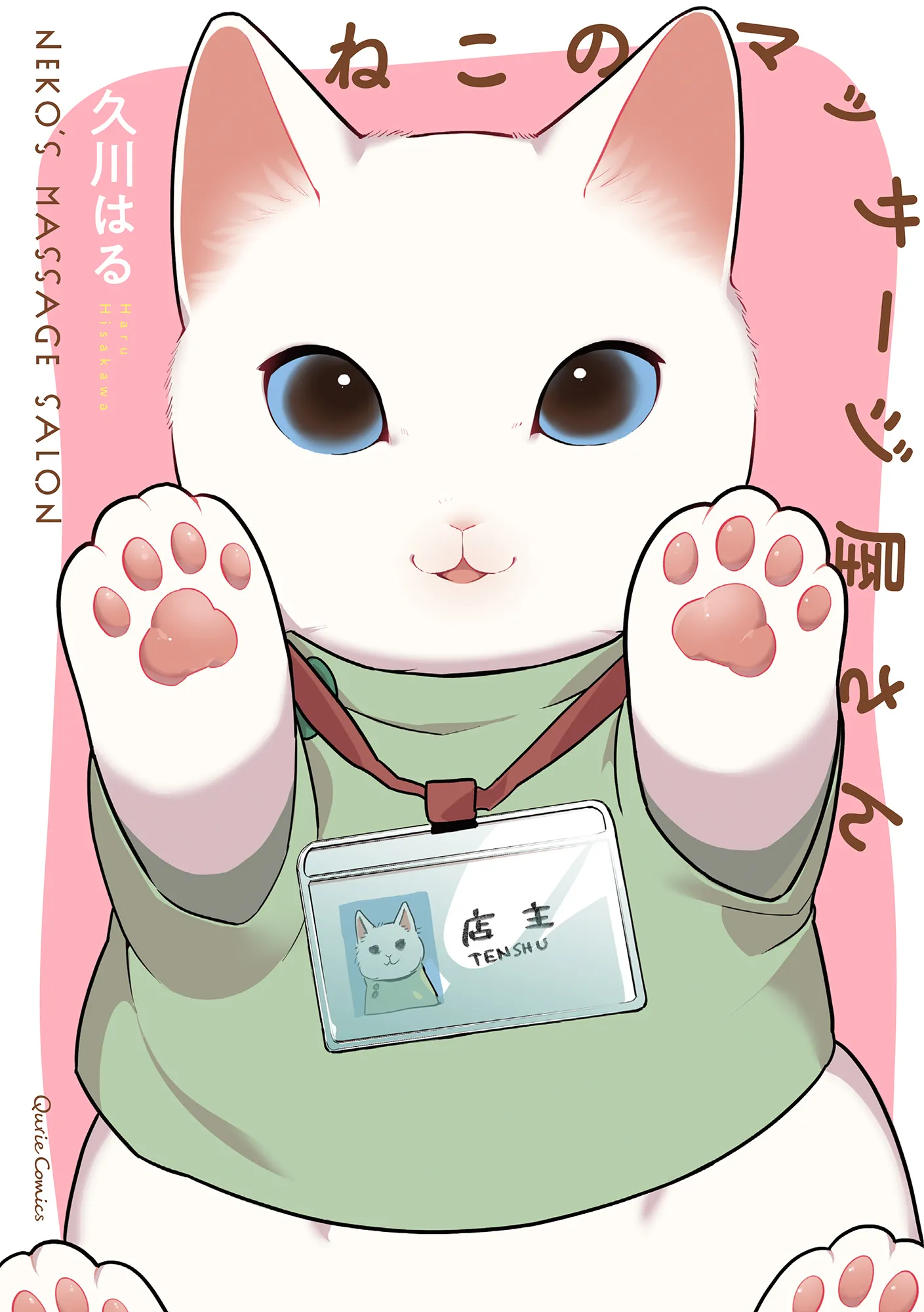 Cat Massage Therapy background
