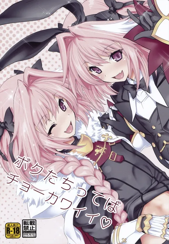Fate/Grand Order - Boku-tachi tteba Chou Kawaii (Doujinshi)