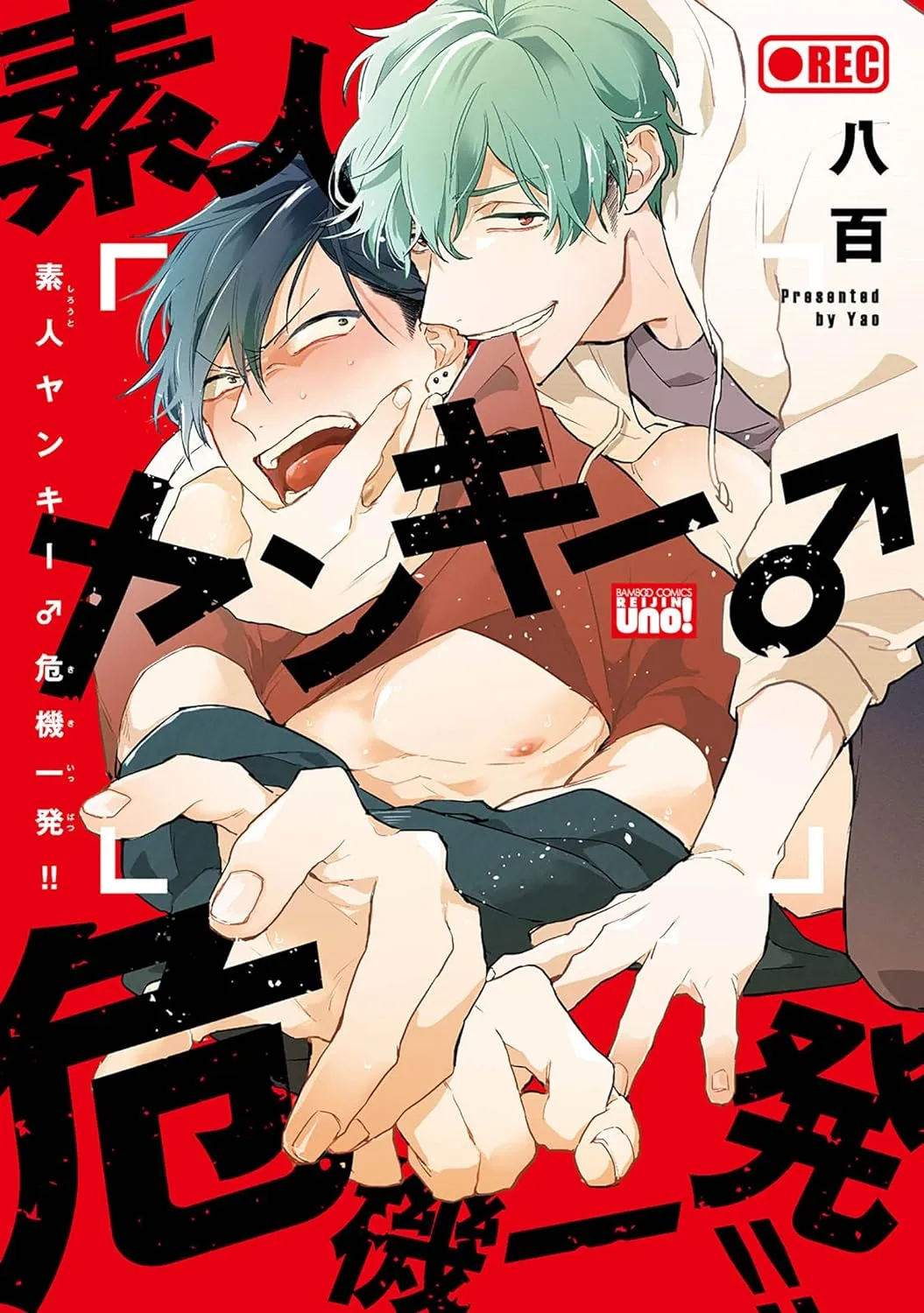 Shirouto Yankee Kikiippatsu!! background