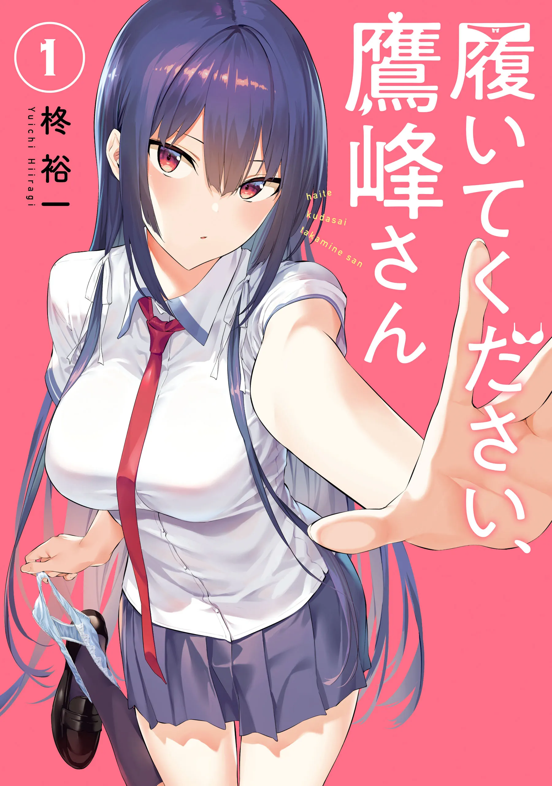 Haite Kudasai, Takamine-san background