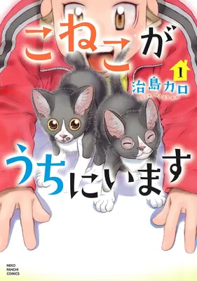 Koneko ga Uchi ni Imasu