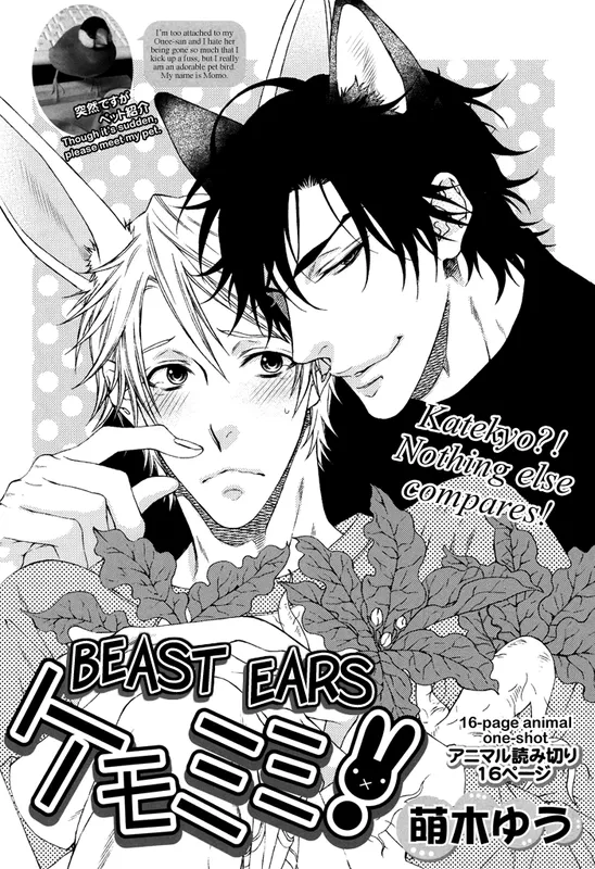 Katekyo! - Kemomimi (Doujinshi)