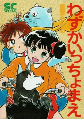 Wazuka Itchomae