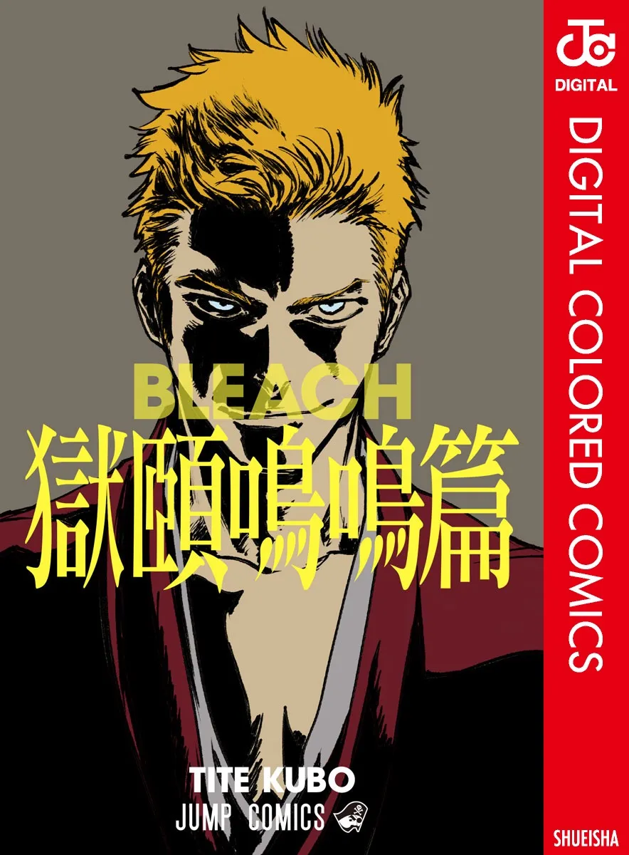 Bleach: Special One-Shot (Official Colored) background