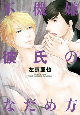 Fukigen Kareshi no Nadamekata