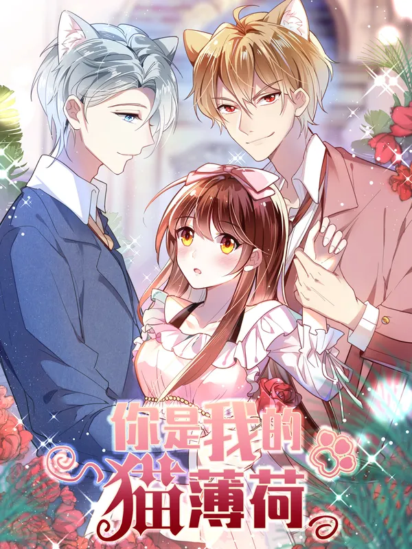 You Are My Catnip background