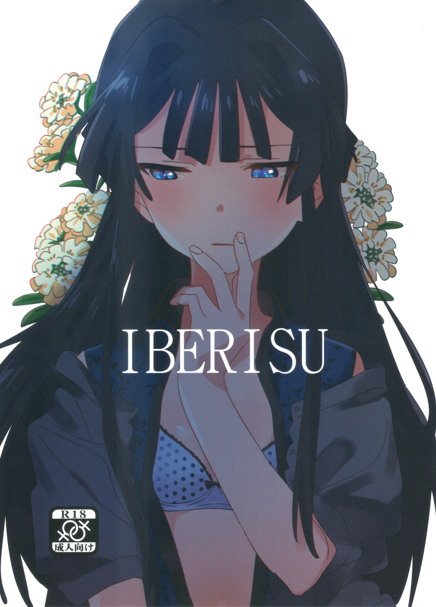 IBERISU background
