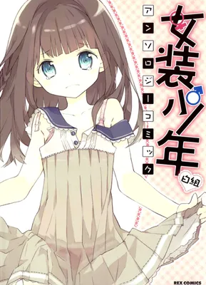 Cross-Dressing Boy Anthology Comic
