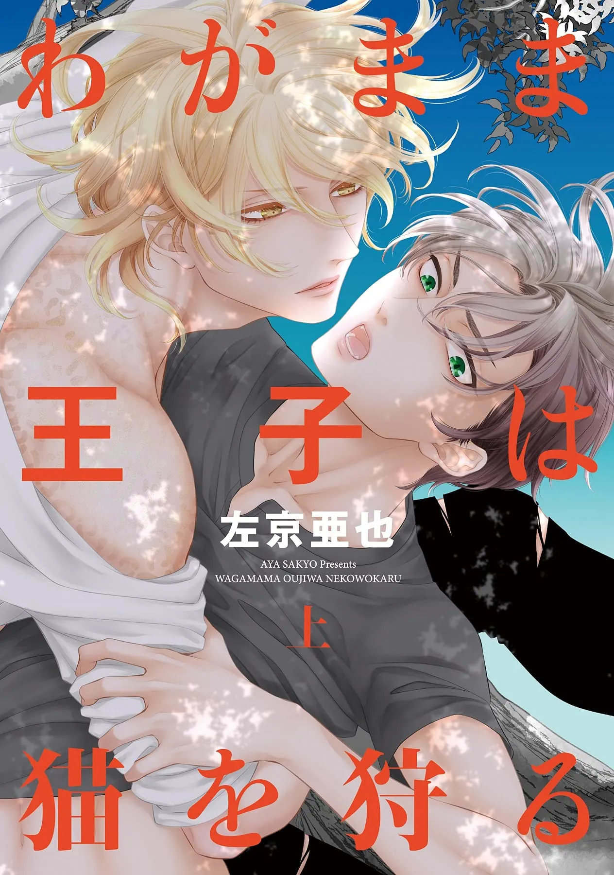 Wagamama Ouji wa Neko wo Karu background