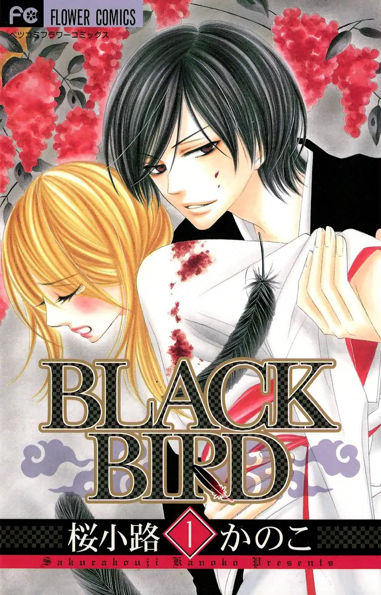 Black Bird background