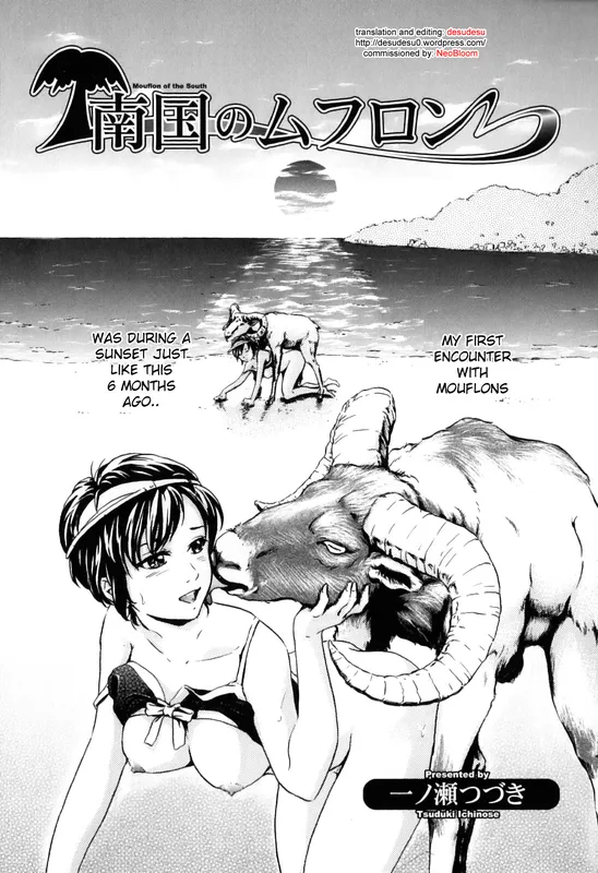 Nangoku no Mouflon