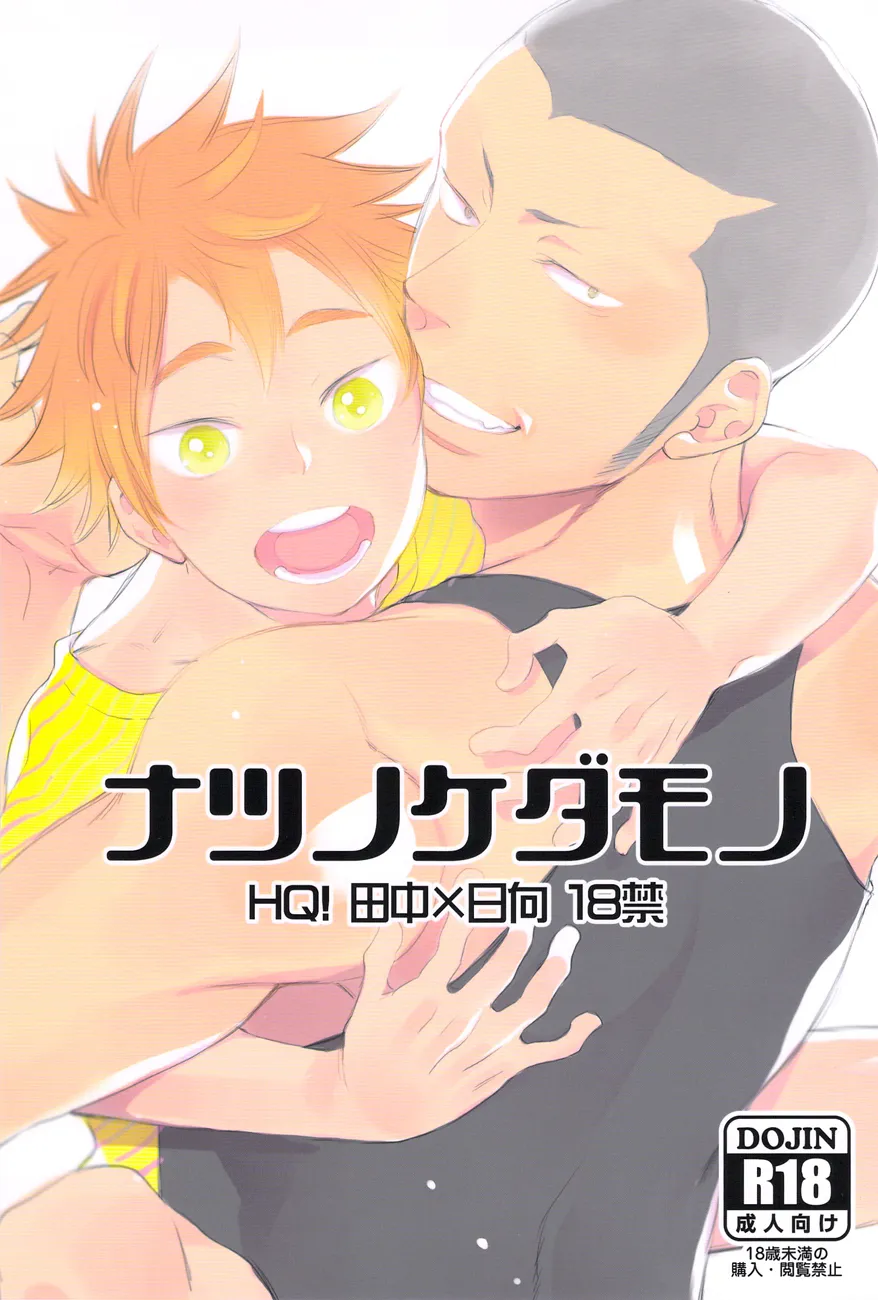 Haikyu!! - Natsu no Kedamono (Doujinshi) background