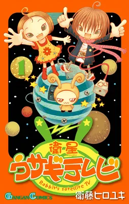 Rabbit's Satellite TV
