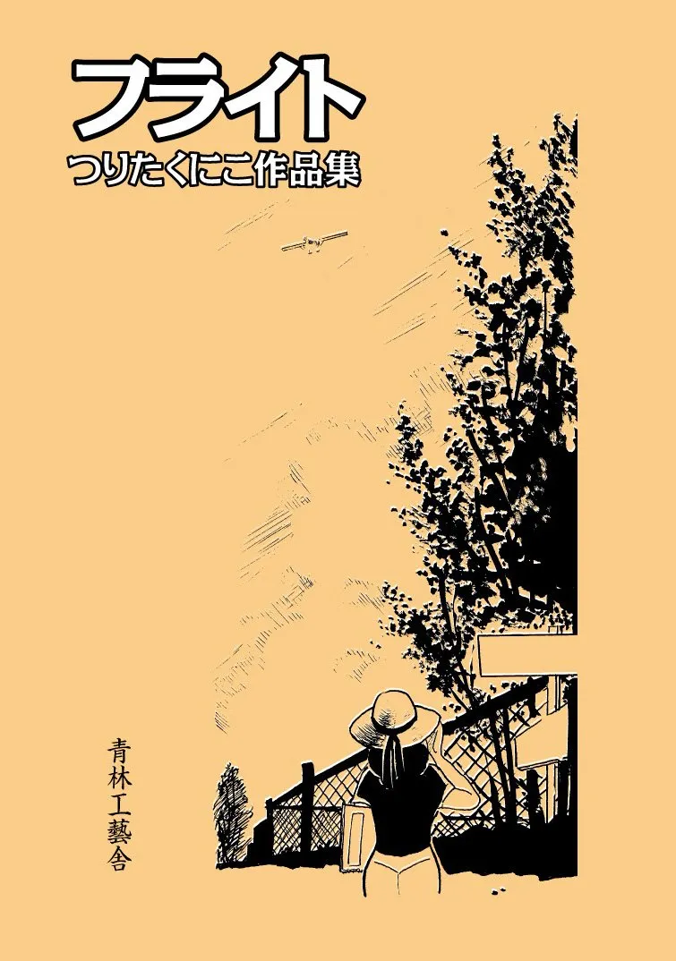 Flight background