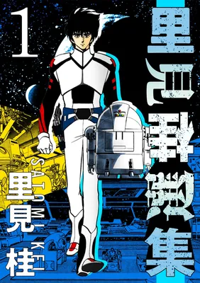 Satomi Kei's Selected Works