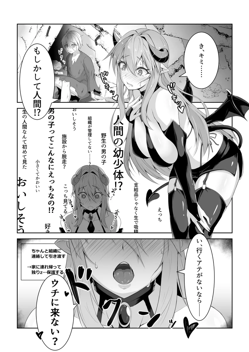 A Story of a Post-Apocalyptic World Where Succubi Thrive as Humanity Nears Extinction background