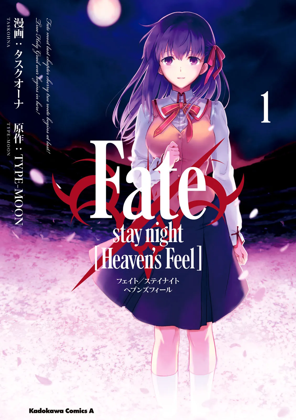 Fate/stay night [Heaven's Feel] background