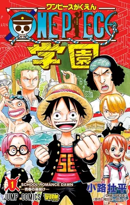 One Piece Academy