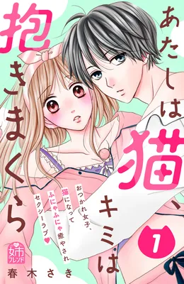 Atashi wa Neko, Kimi wa Dakimakura