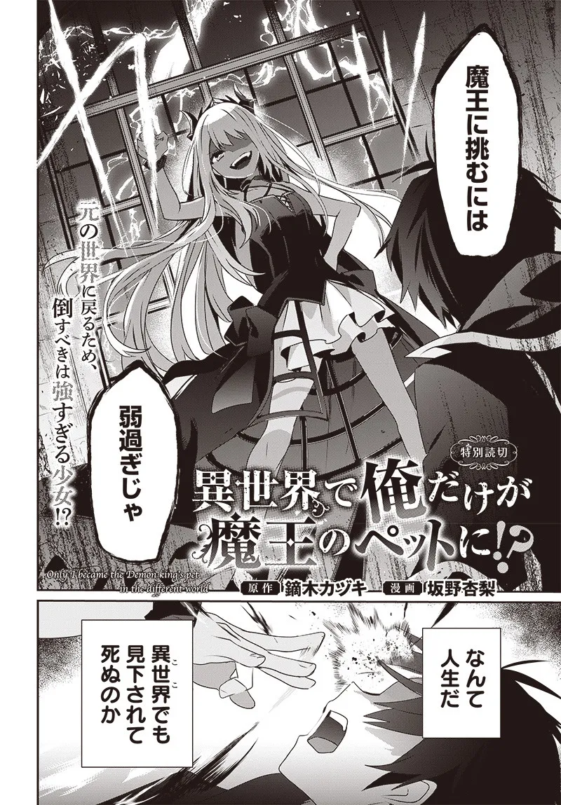 Isekai de Ore dake ga Maou no Pet ni!? background
