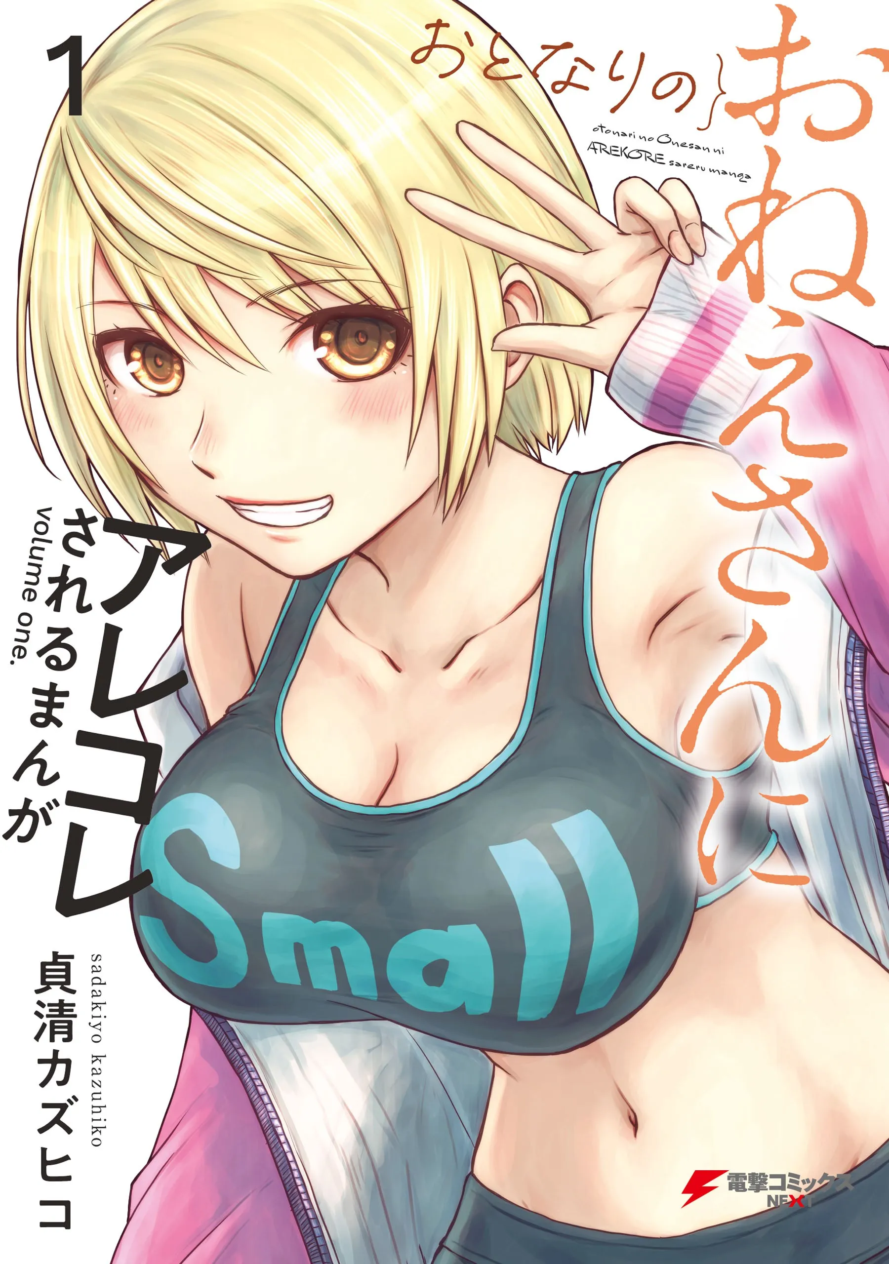 Otonari no Oneesan ni Arekore sareru Manga background