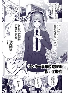 Yankee Koukou ni Ojousama (Pre-Serialization)