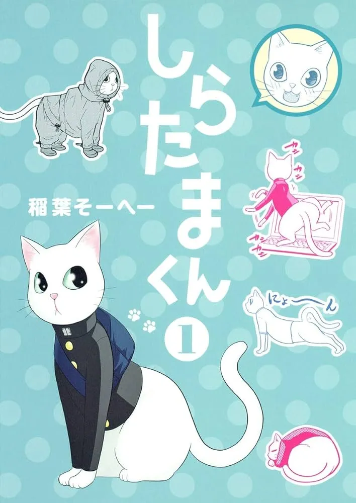 Shiratama-kun background