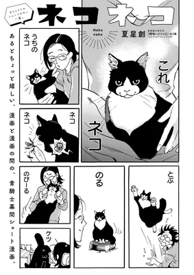 Neko Neko