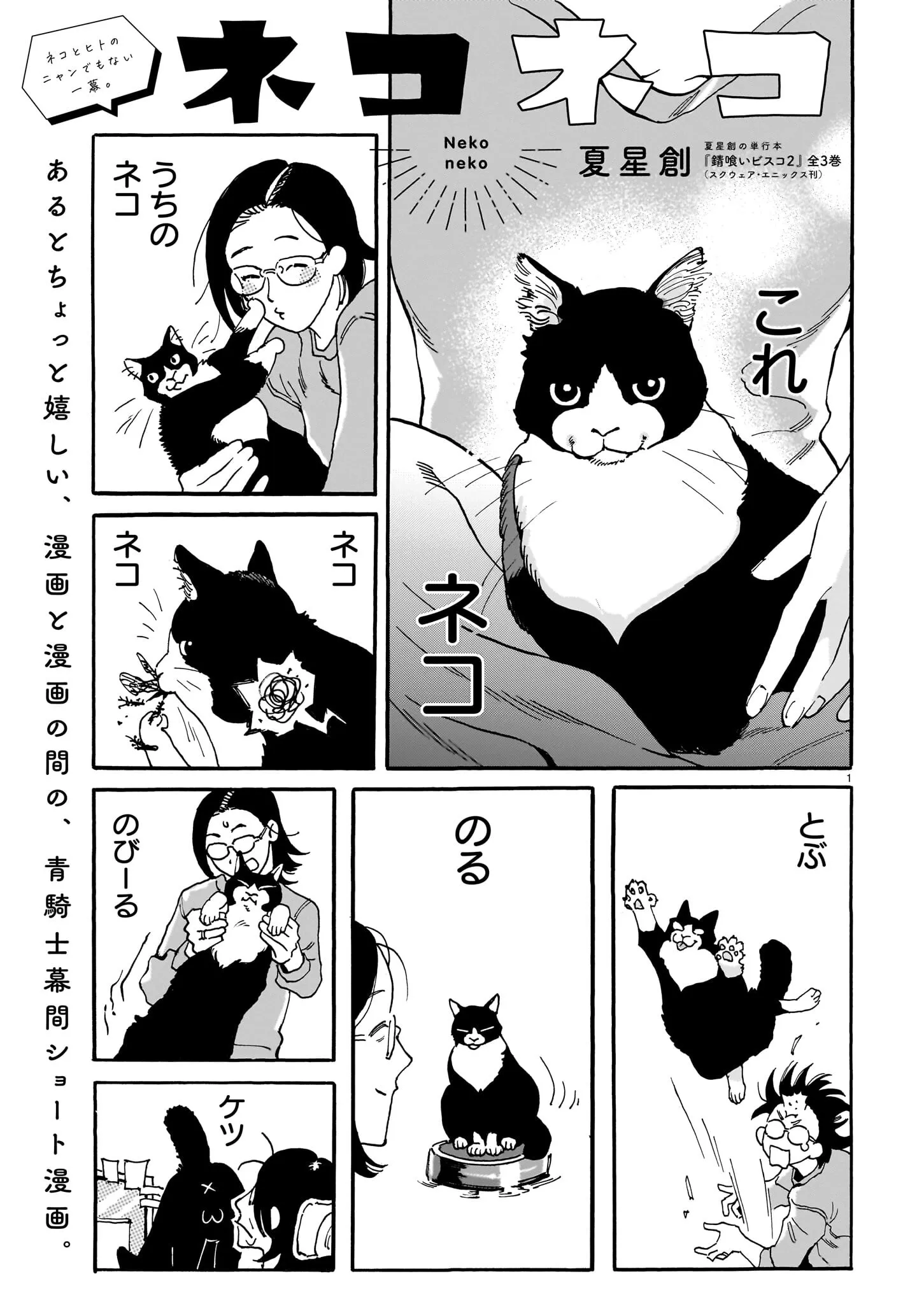 Neko Neko background