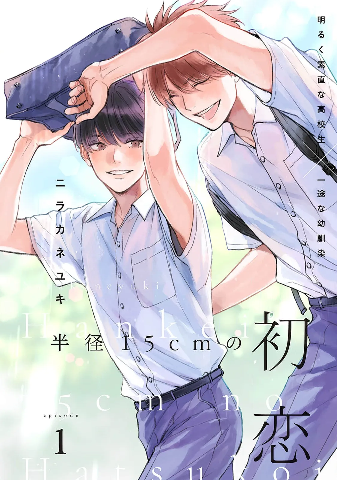 Hankei 15cm no Hatsukoi background