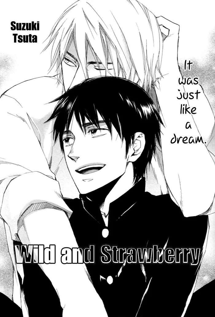 Wild to Strawberry background