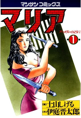 Maria: Like a Boomerang