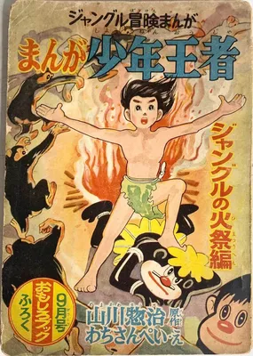 Manga Boy Champion