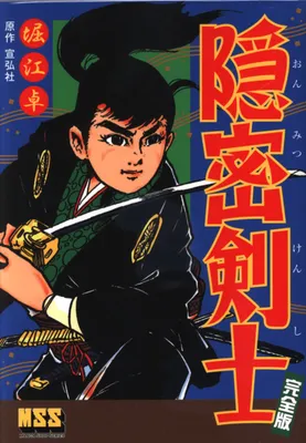 The Secret Swordsman